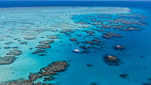 A new program aims to educate and reward travellers who are conservation-curious. 