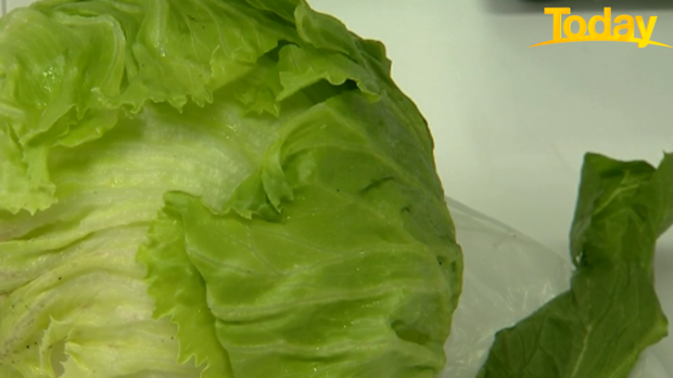 We also looked at how fresh lettuce held up. 