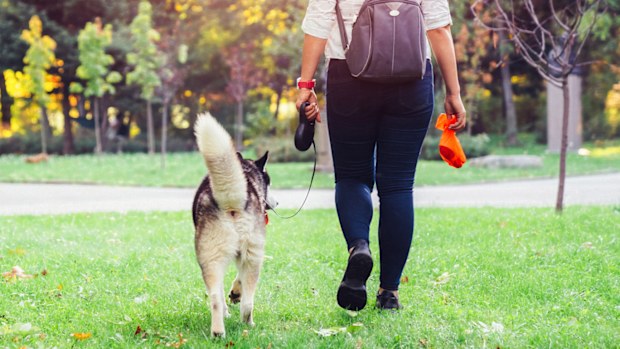 Woman with her dog in the city park holding poop bag