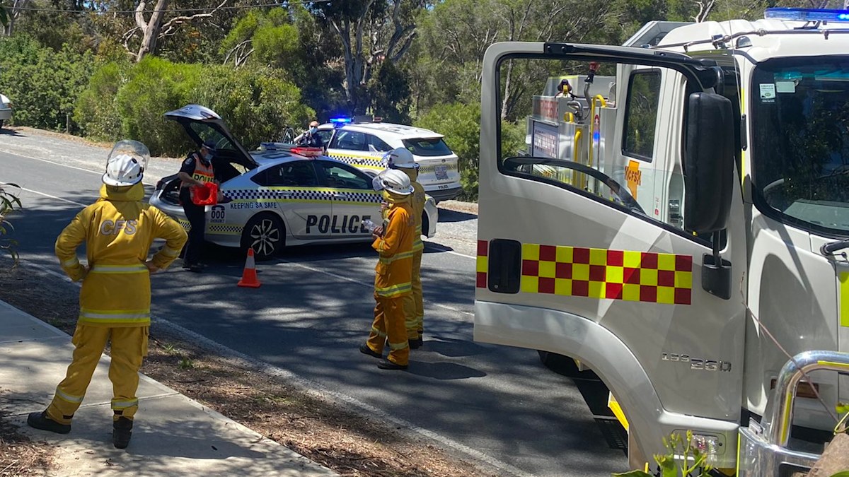 Bicycle rider dies after fatal Adelaide crash between truck and bike at ...