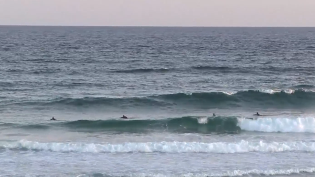Central Coast drowning: Man dies after being pulled from the surf at ...