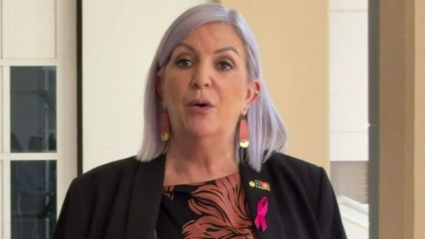Northern Territory Minister for Child Protection Robyn Cahill OAM.