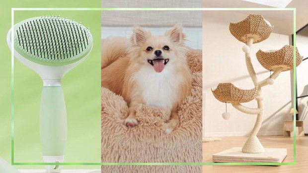 9PR: The best deals we've spotted on pet products