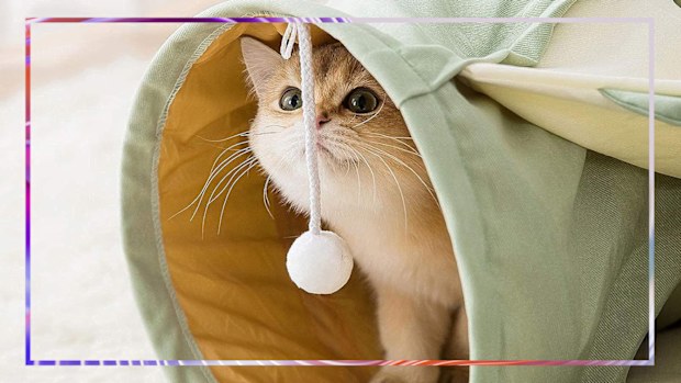 9PR: Cat toys