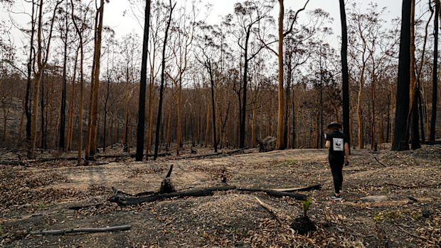 Abigail Sexton (WWF-Australia) observes the aftermath of the devastating bushfires near Surfs Beach in the Shoalhaven region which ripped through on New Year's Eve 2019.