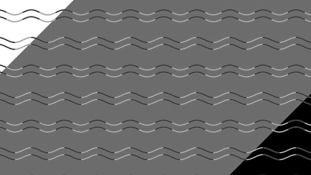 A new optical illusion appears to consist of parallel lines in waves and zig-zags ... or does it? (National Center for Biotechnology Information)