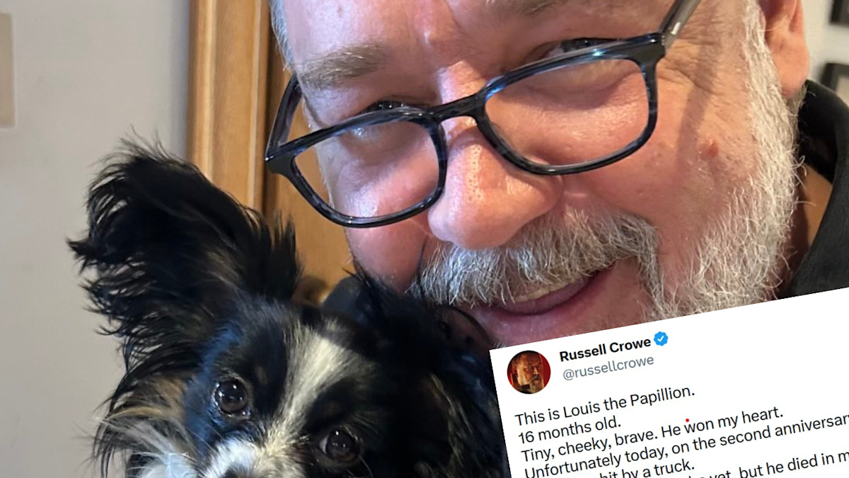 Russell Crowe heartbreakingly reveals his puppy has died | Nine.com.au