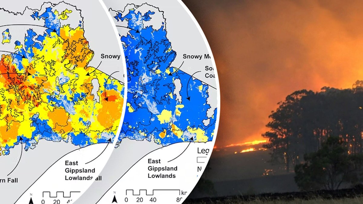 Bushfires Australia: New data reveals Victorian bushfires 'shockingly ...