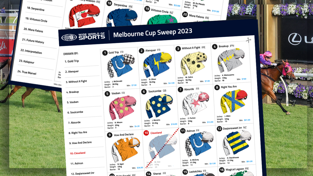 Melbourne Cup Sweep Printable 2023 Free office sweep printout with instructions, template, PDF