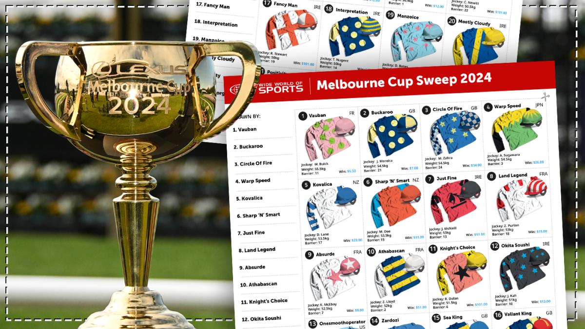 Melbourne Cup Sweep 2024 Free printable office sweep with instructions