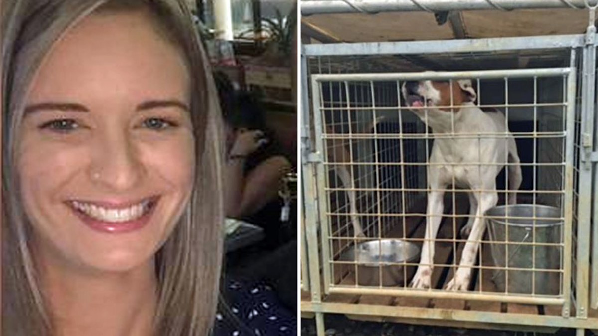 NZ woman almost loses arm after being mauled by her own dog | Nine.com.au