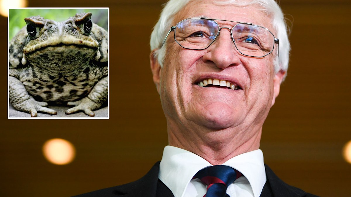 Australian politics news: Bob Katter's $2m plan for children to use ...