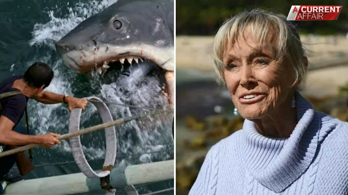 Valerie Taylor, shark expert, goes from Australia to Hollywood amid ...
