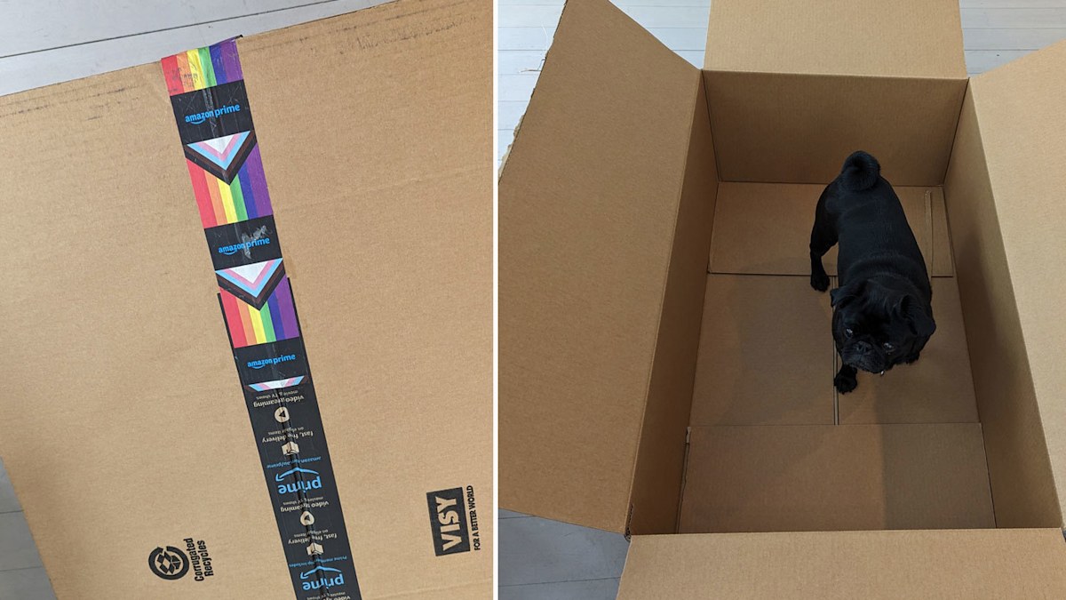 Why is Amazon packaging so big | Nine.com.au