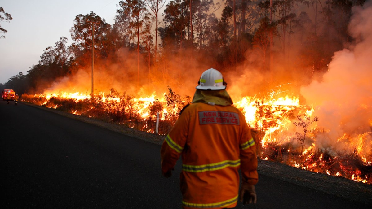 Australian bushfires one year on: How Black Summer of death and ...
