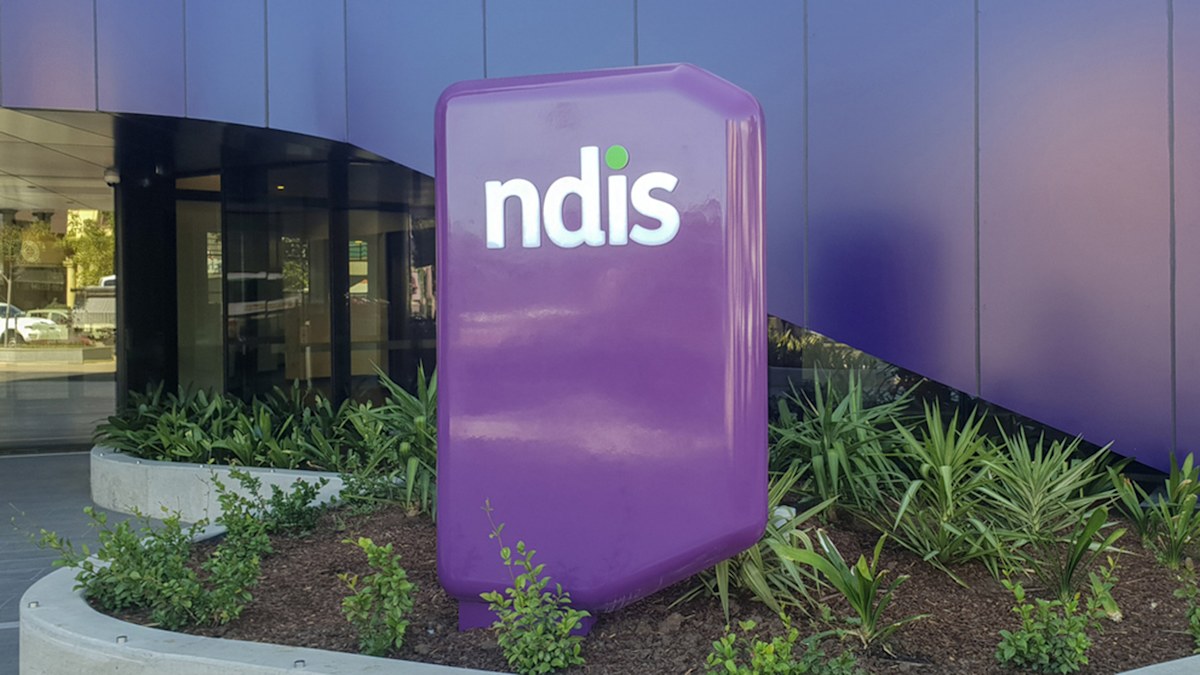 'A soft target for crooks': Shocking extent of NDIS fraud revealed