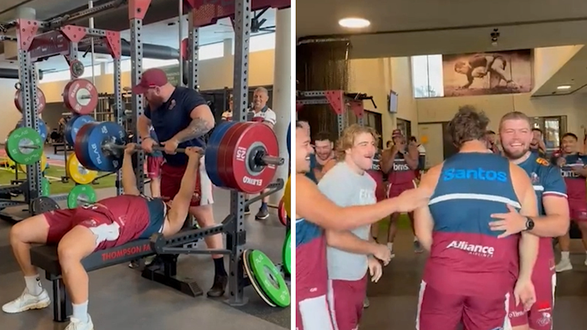 Rugby Australia news 2024 | Massimo De Lutiis Wallabies camp, Reds ...