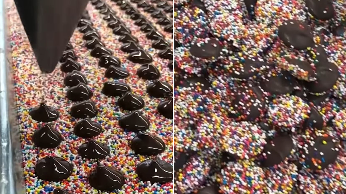 Foodies have their minds blown with the process of making chocolate ...