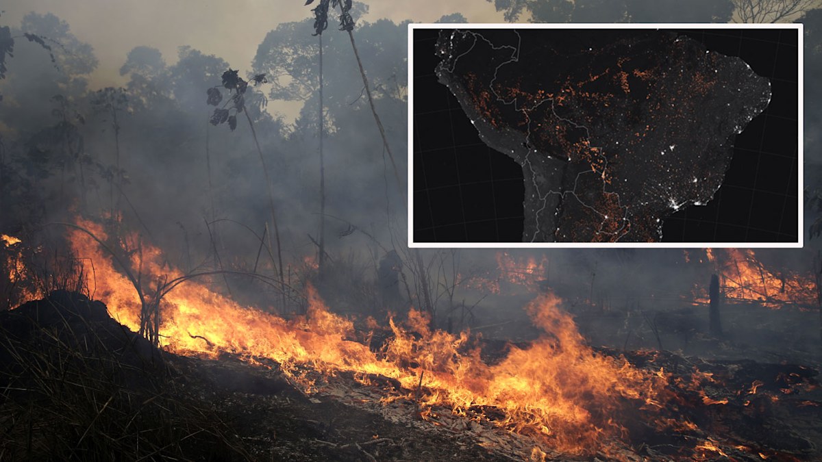 Amazon Fires: What caused the fire in the amazon | Nine.com.au