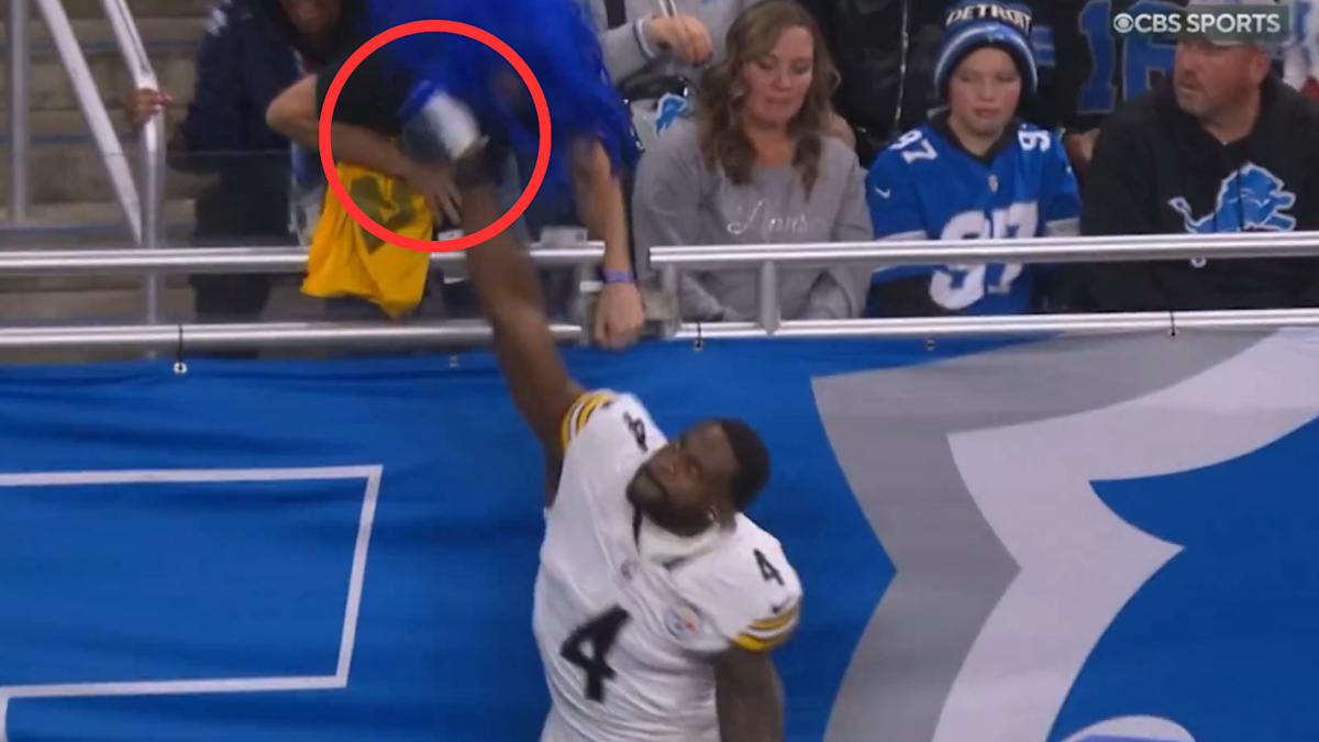 Le receveur des Steelers de Pittsburgh, DK Metcalf, frappe un fan lors d’un match contre les Lions de Détroit.