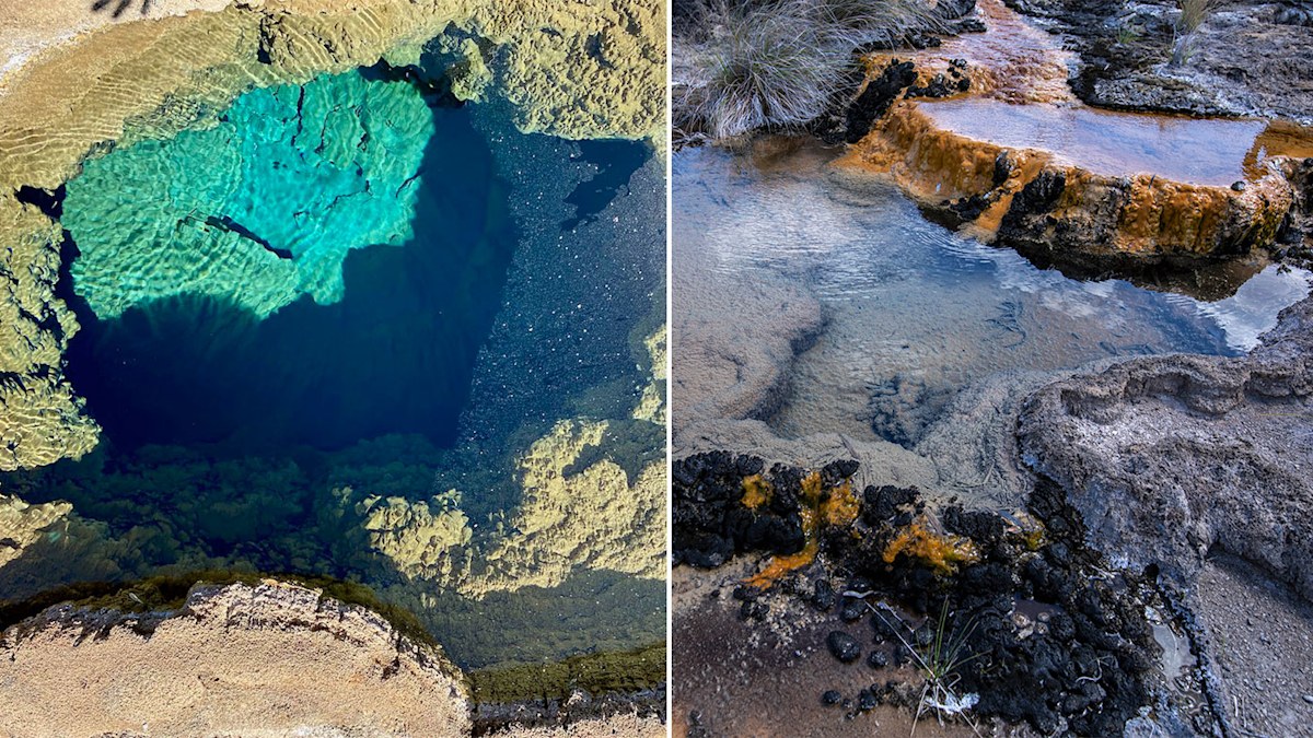 North Queensland town Talaroo introduces new hot springs | Nine.com.au