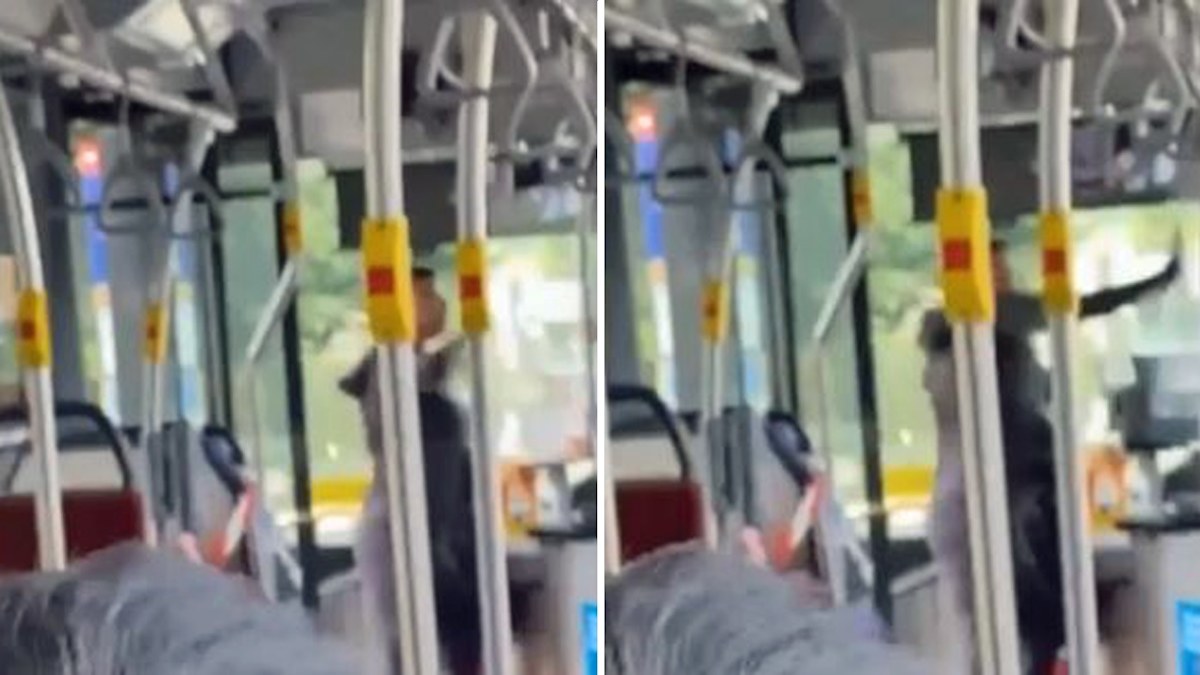 NSW bus drivers call for more police after TikTok abuse video goes ...