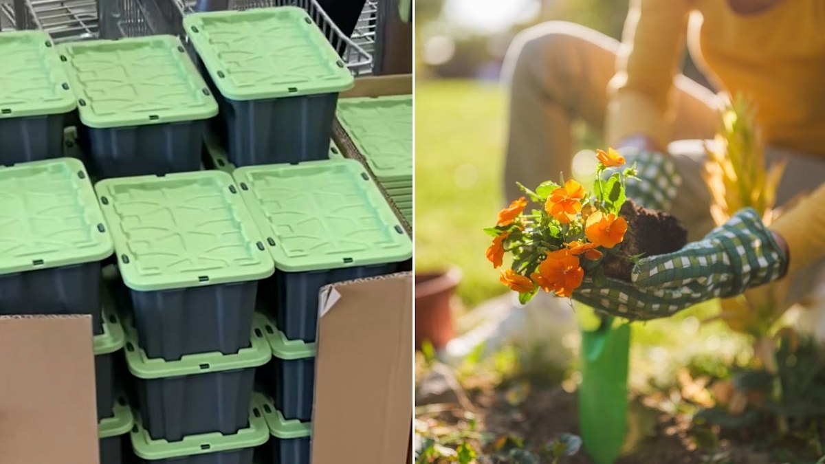 Bunnings storage box hack gardeners never knew they needed - and for $1 ...