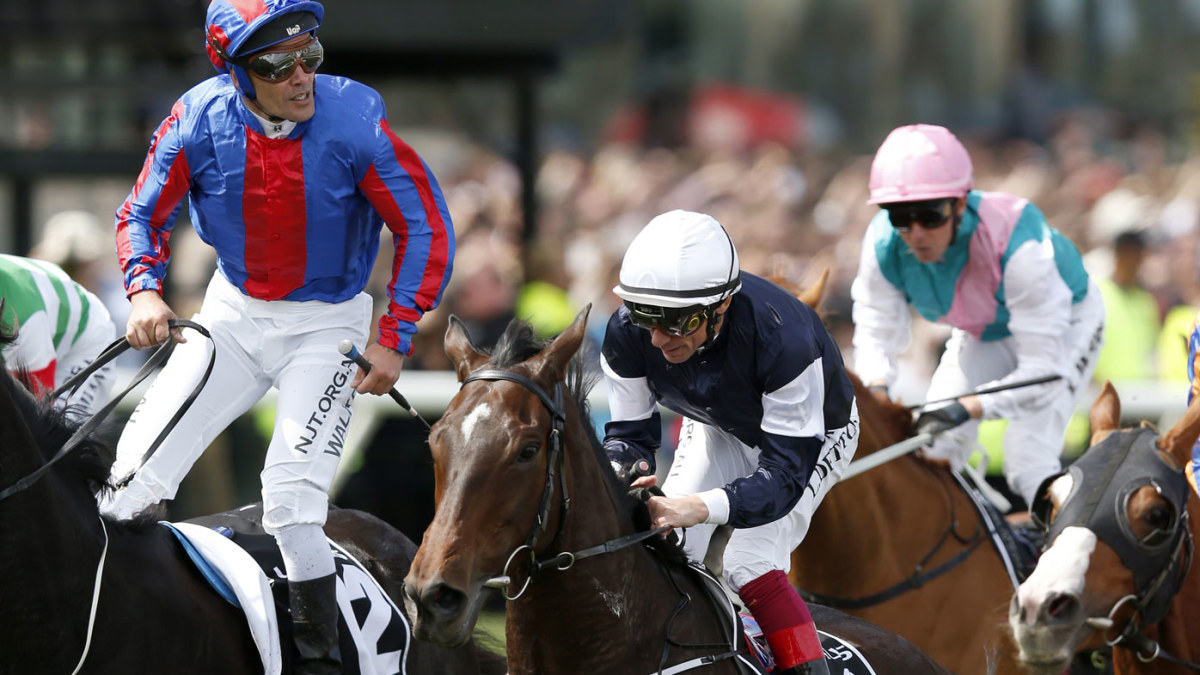 Melbourne Cup whipping disqualification Top trainer