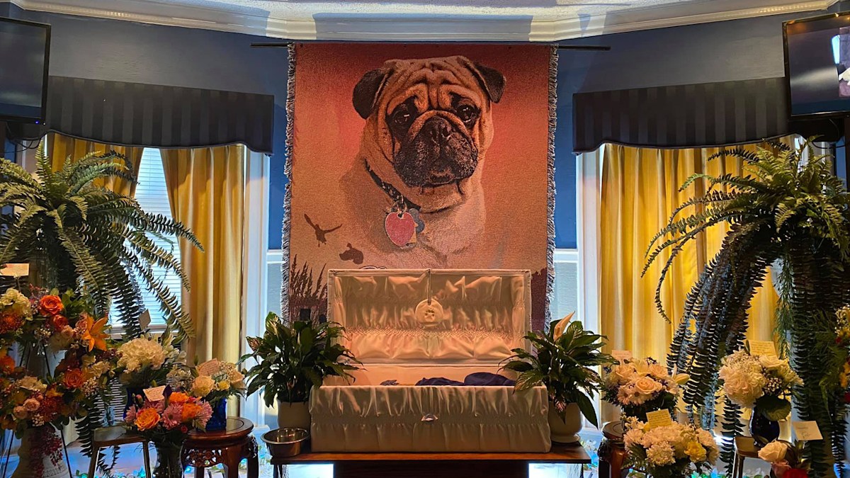 Extravagant funeral for pug leaves the internet heartbroken: 'He never ...