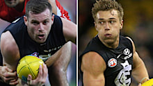Not Supplied