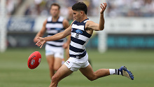 Stengle booted four goals and ignited the ageing Geelong forward line against the Tigers