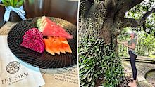 sami lukis wellness retreat