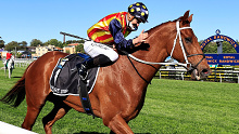 Nature Strip won The Everest in 2021.