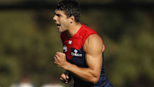 Christian Petracca