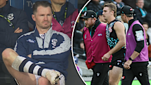 Patrick Dangerfield and Jason Horne-Francis. 