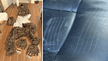 Three people in the US state of California have been sentenced for insurance fraud in a bizarre scam that involved someone dressed in a bear costume damaging luxury cars.