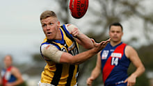 Dan Hannebery of Sandringham handballs during the round nine VFL match