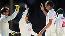 Josh Hazlewood celebrates a wicket with his teammates during the SCG Test against India.