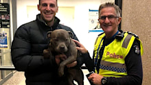 Ava was reunited with her owners on Monday night.