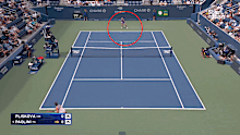 Pliskova injury