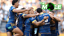 Parramatta Eels Mole