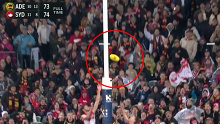 Adelaide Crows dudded by goalpost controversy.