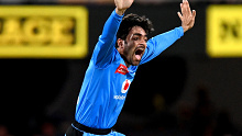 Adelaide's Rashid Khan appeals for a wicket in the BBL.