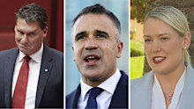 SA State Election preview