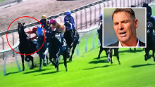 Shane Warne's horse Sacred Oath hits the rail before sending jockey Ryan Maloney flying.