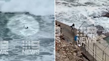 Kelly Slater snaps board in huge swell off Sydney's Avalon Beach. (Nine)