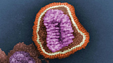 Almost 26,000 cases of influenza have already been recorded.