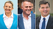 Sussan Ley, Tim Wilson, Angus Taylor