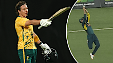 Dewald Brevis celebrates his ton after he was dropped by Matt Kuhnemann. 