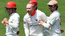 Lloyd Pope celebrates a Sheffield Shield wicket for South Australia.